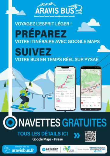 Affiche Google Pysae hiver