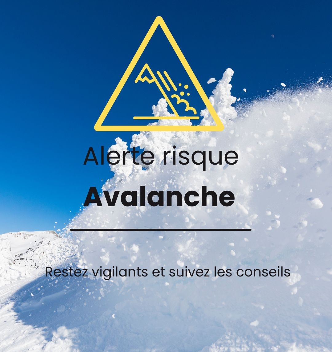 https://mairielegrandbornand.com/wp-content/uploads/2026/02/Post-Instagram-alerte-avalanche-degrade-bleu.jpg
